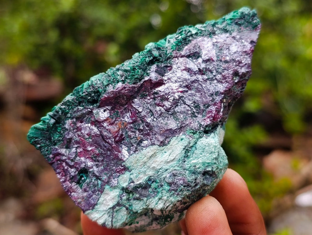 Natural Ultra Rare Cabinet Size Silver and Red Cuprite Specimen with Silky Malachite x 1 From Mashamba West, Congo