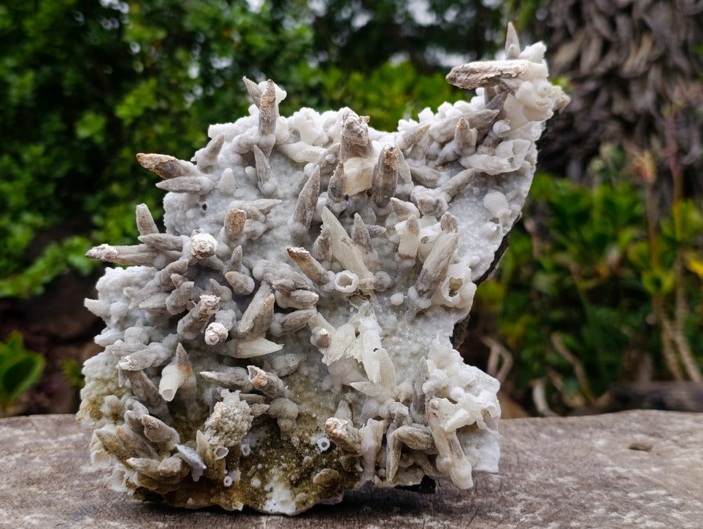 Natural Large Drusy Spearhead Calcite Sceptre Crystal Plate with Aragonite x 1 From Albert's Mountain, Lesotho