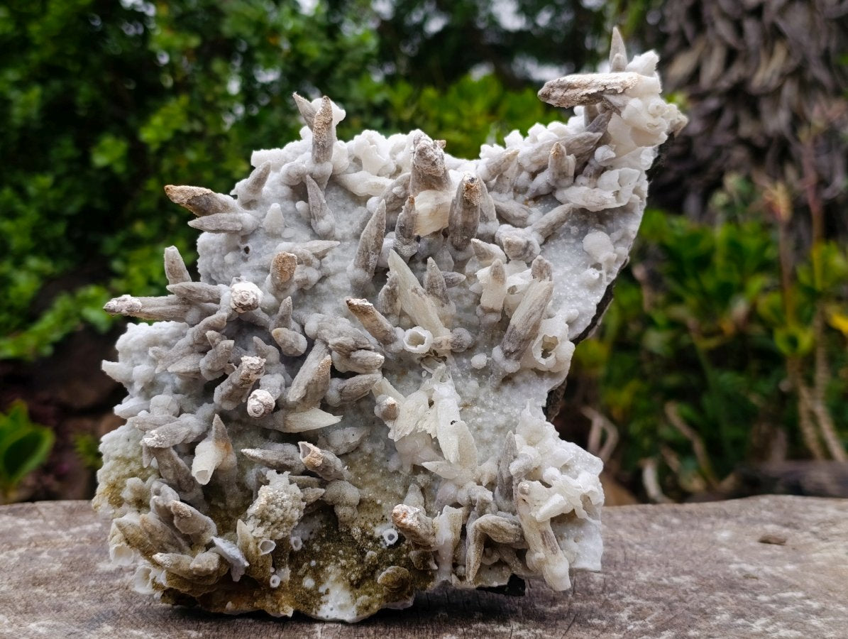Natural Large Drusy Spearhead Calcite Sceptre Crystal Plate with Aragonite x 1 From Albert's Mountain, Lesotho