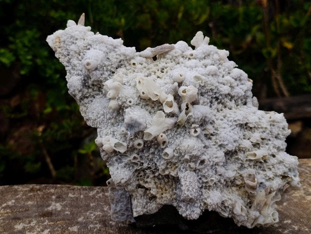 Natural Large Drusy Spearhead Calcite Sceptre Crystal Plate with Aragonite x 1 From Albert's Mountain, Lesotho