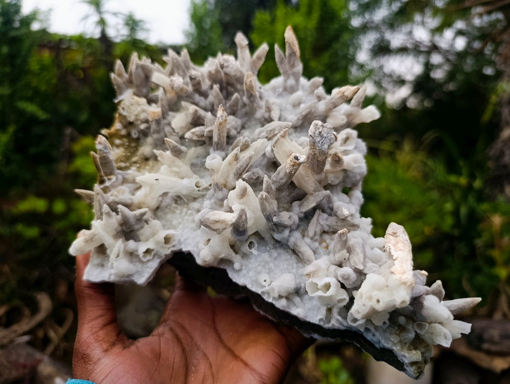 Natural Large Drusy Spearhead Calcite Sceptre Crystal Plate with Aragonite x 1 From Albert's Mountain, Lesotho