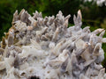 Natural Large Drusy Spearhead Calcite Sceptre Crystal Plate with Aragonite x 1 From Albert's Mountain, Lesotho