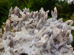 Natural Large Drusy Spearhead Calcite Sceptre Crystal Plate with Aragonite x 1 From Albert's Mountain, Lesotho
