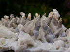 Natural Large Drusy Spearhead Calcite Sceptre Crystal Plate with Aragonite x 1 From Albert's Mountain, Lesotho