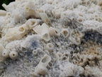 Natural Large Drusy Spearhead Calcite Sceptre Crystal Plate with Aragonite x 1 From Albert's Mountain, Lesotho
