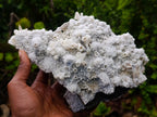 Natural Large Drusy Spearhead Calcite Sceptre Crystal Plate with Aragonite x 1 From Albert's Mountain, Lesotho
