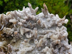 Natural Large Drusy Spearhead Calcite Sceptre Crystal Plate with Aragonite x 1 From Albert's Mountain, Lesotho