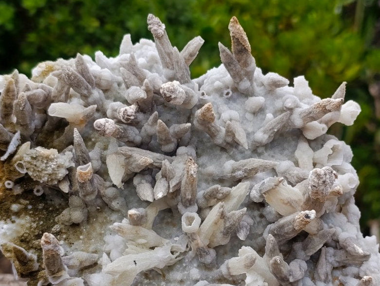 Natural Large Drusy Spearhead Calcite Sceptre Crystal Plate with Aragonite x 1 From Albert's Mountain, Lesotho