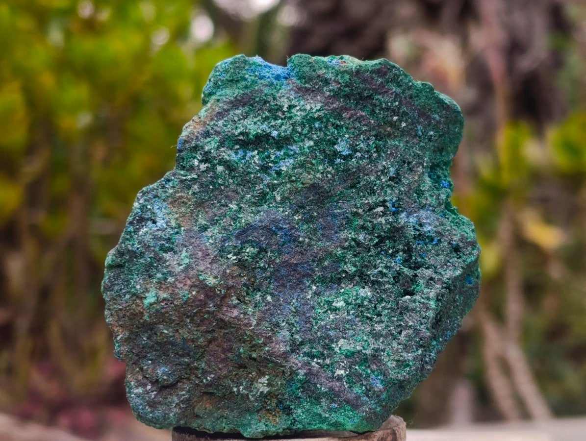 Natural Cabinet Size Cuprite Specimen with Shattuckite and Malachite x 1 From Mashamba West, Congo