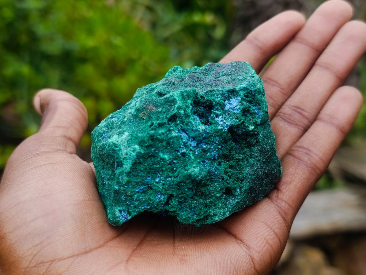 Natural Cabinet Size Cuprite Specimen with Shattuckite and Malachite x 1 From Mashamba West, Congo