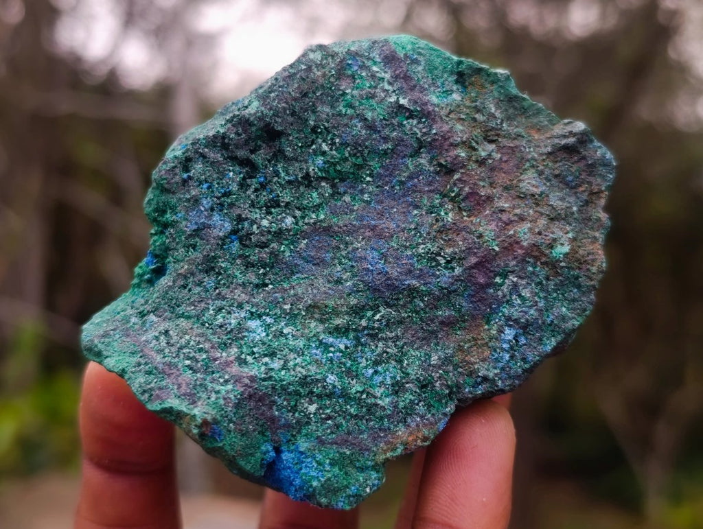 Natural Cabinet Size Cuprite Specimen with Shattuckite and Malachite x 1 From Mashamba West, Congo