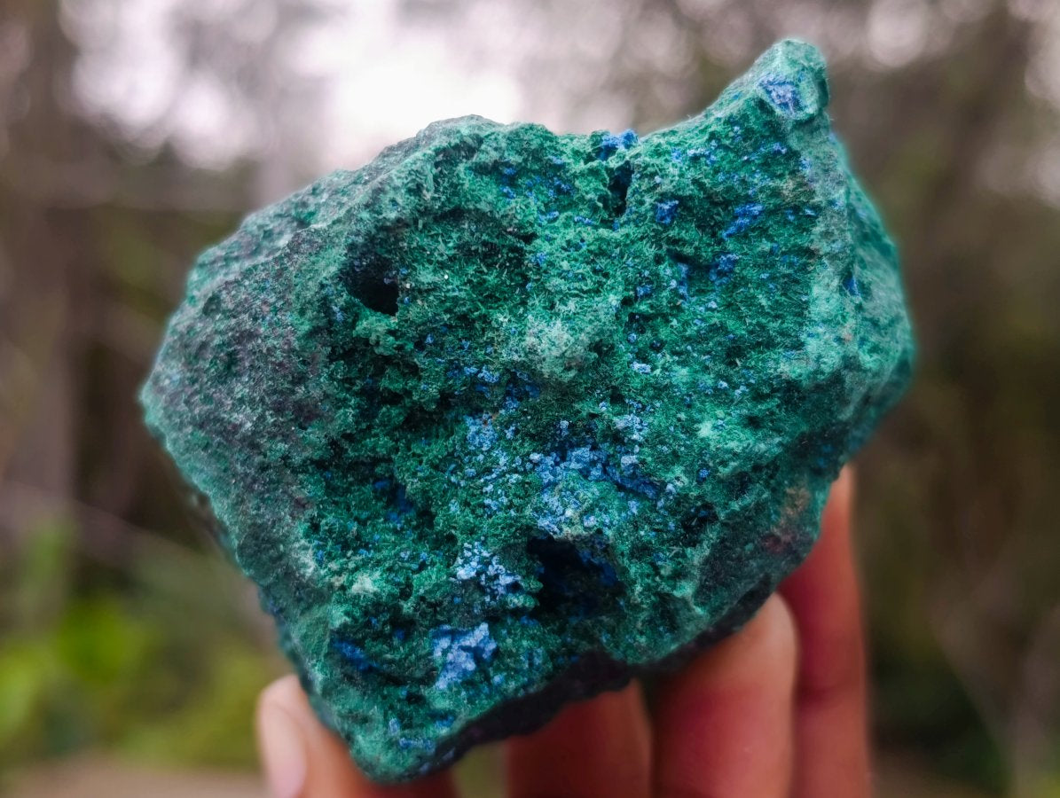 Natural Cabinet Size Cuprite Specimen with Shattuckite and Malachite x 1 From Mashamba West, Congo