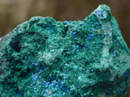 Natural Cabinet Size Cuprite Specimen with Shattuckite and Malachite x 1 From Mashamba West, Congo