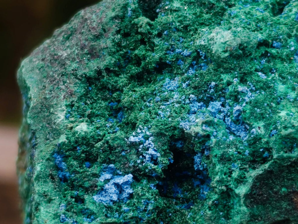 Natural Cabinet Size Cuprite Specimen with Shattuckite and Malachite x 1 From Mashamba West, Congo
