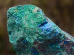 Natural Cabinet Size Cuprite Specimen with Shattuckite and Malachite x 1 From Mashamba West, Congo