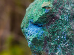 Natural Cabinet Size Cuprite Specimen with Shattuckite and Malachite x 1 From Mashamba West, Congo