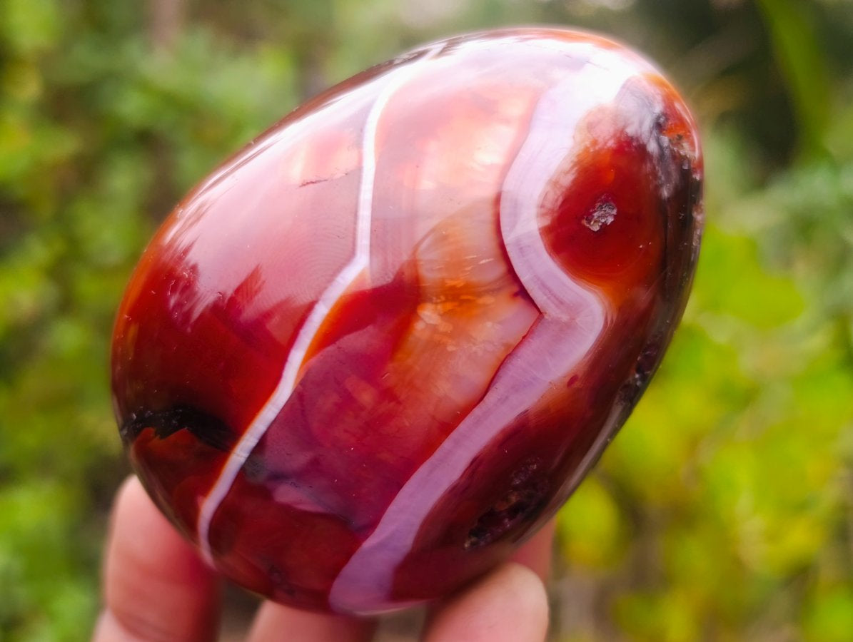 Polished Carnelian Gemstone Goose Size Egg x 1 From Madagascar