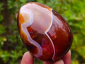 Polished Carnelian Gemstone Goose Size Egg x 1 From Madagascar