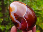 Polished Carnelian Gemstone Goose Size Egg x 1 From Madagascar