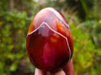 Polished Carnelian Gemstone Goose Size Egg x 1 From Madagascar