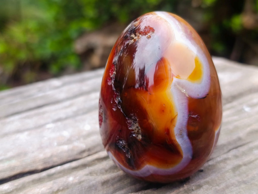 Polished Carnelian Gemstone Goose Size Egg x 1 From Madagascar