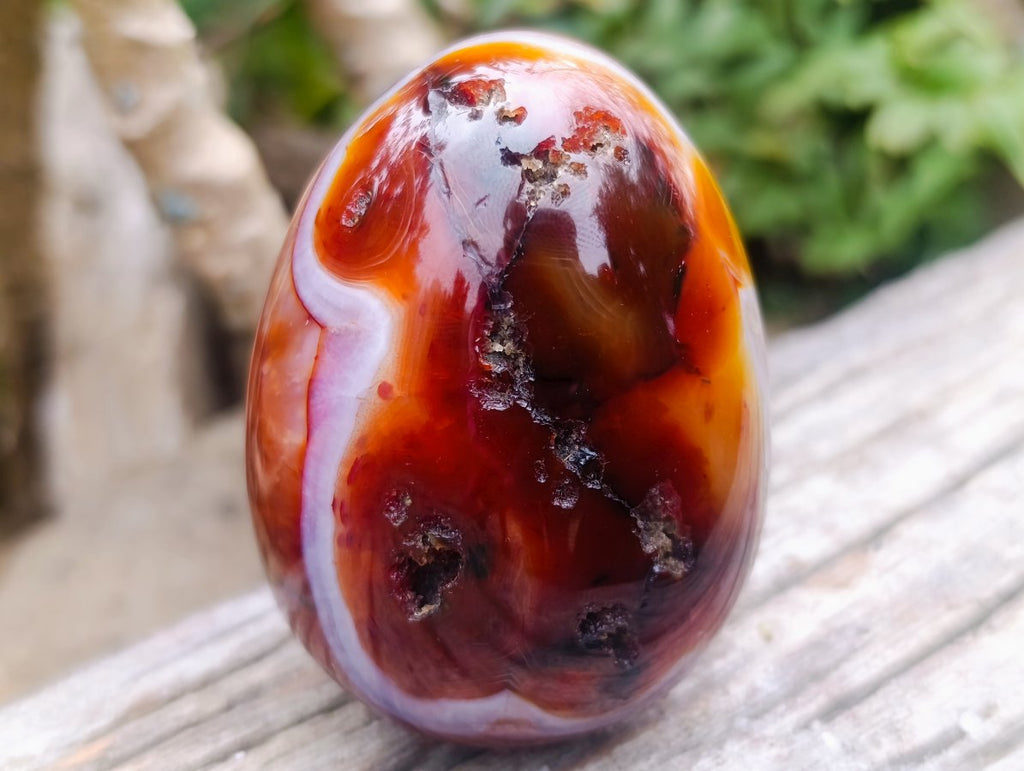Polished Carnelian Gemstone Goose Size Egg x 1 From Madagascar