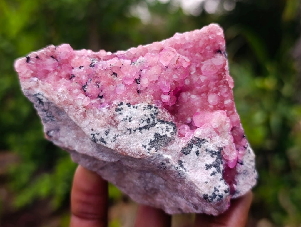Natural Ultra Rare Cabinet Sized Spherocobaltite Specimen x 1 From Mashamba West Mine, Congo
