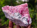 Natural Ultra Rare Cabinet Sized Spherocobaltite Specimen x 1 From Mashamba West Mine, Congo