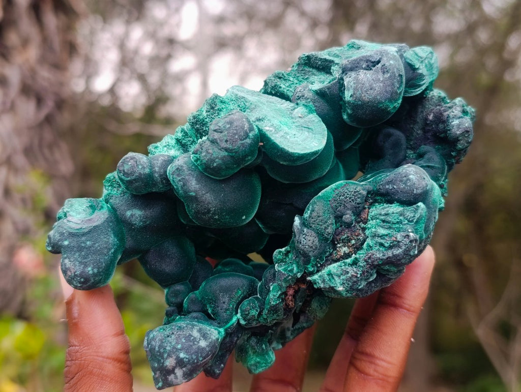 Natural Cabinet Size Botryoidal Silky Malachite Specimen x 1 From Kasompe, Congo