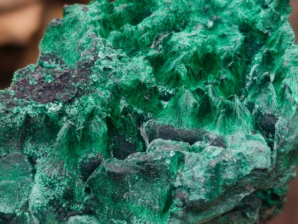 Natural Cabinet Size Botryoidal Silky Malachite Specimen x 1 From Kasompe, Congo