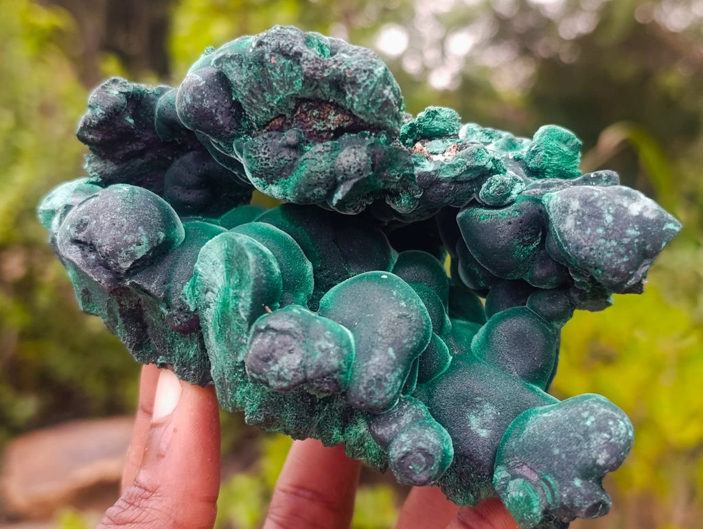 Natural Cabinet Size Botryoidal Silky Malachite Specimen x 1 From Kasompe, Congo
