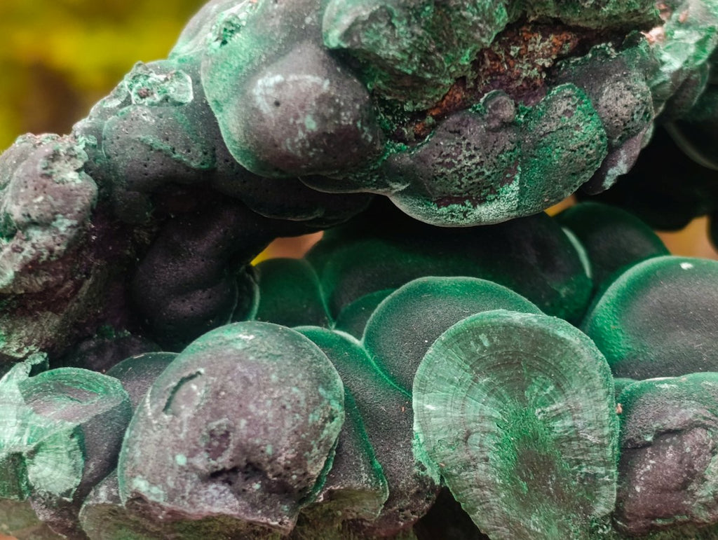 Natural Cabinet Size Botryoidal Silky Malachite Specimen x 1 From Kasompe, Congo