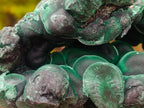 Natural Cabinet Size Botryoidal Silky Malachite Specimen x 1 From Kasompe, Congo