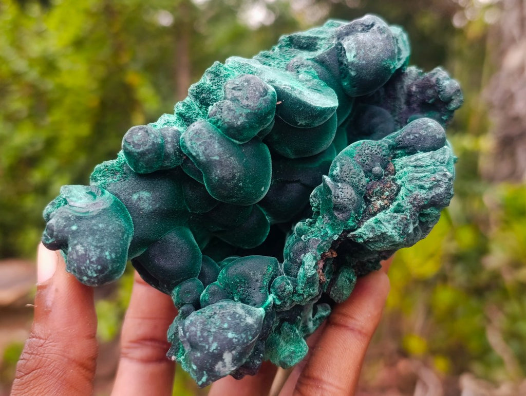 Natural Cabinet Size Botryoidal Silky Malachite Specimen x 1 From Kasompe, Congo