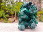 Natural Cabinet Size Botryoidal Silky Malachite Specimen x 1 From Kasompe, Congo
