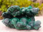 Natural Cabinet Size Botryoidal Silky Malachite Specimen x 1 From Kasompe, Congo