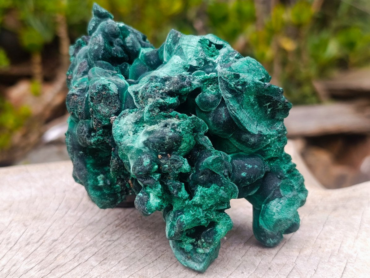 Natural Cabinet Size Botryoidal Silky Malachite Specimen x 1 From Kasompe, Congo