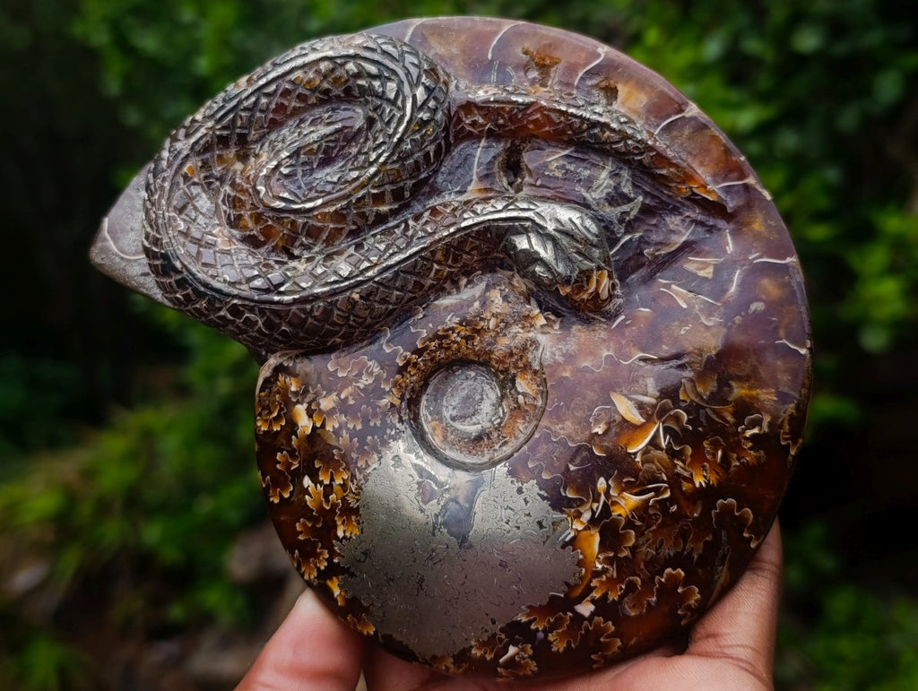 Hand Made Amber Cleoniceras Ammonite Fossil Serpent Carving with Golden Pyrite x 1 From Tulear, Madagascar