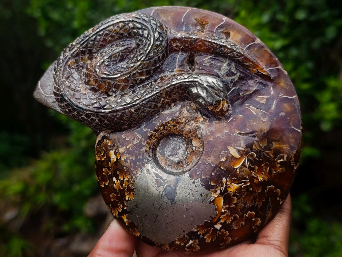 Hand Made Amber Cleoniceras Ammonite Fossil Serpent Carving with Golden Pyrite x 1 From Tulear, Madagascar