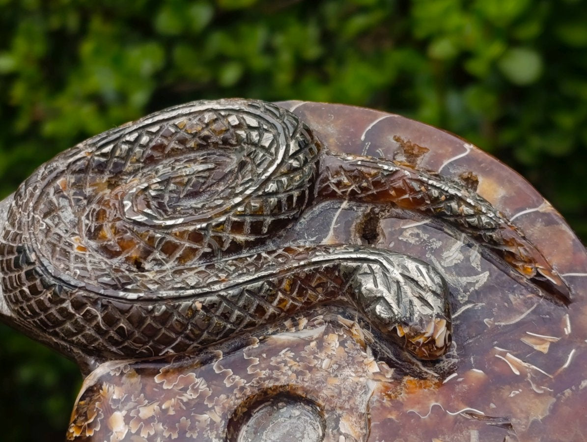 Hand Made Amber Cleoniceras Ammonite Fossil Serpent Carving with Golden Pyrite x 1 From Tulear, Madagascar