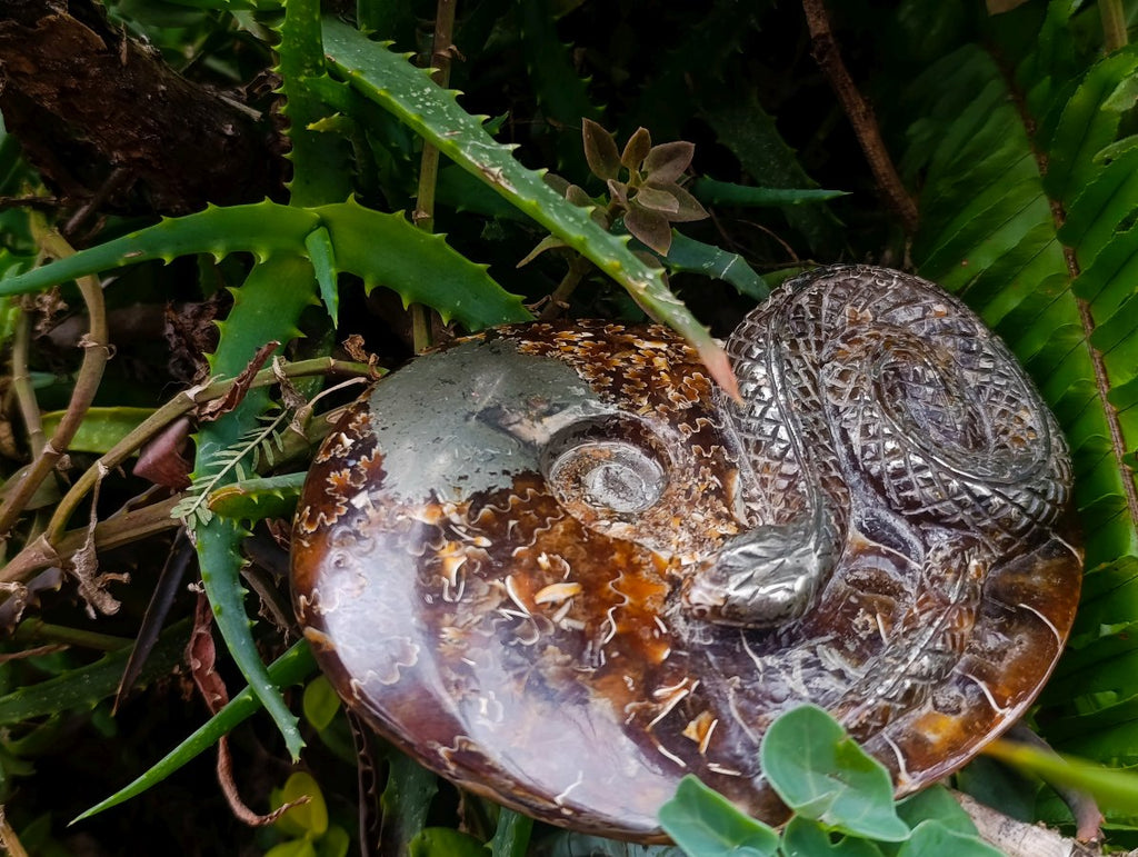 Hand Made Amber Cleoniceras Ammonite Fossil Serpent Carving with Golden Pyrite x 1 From Tulear, Madagascar
