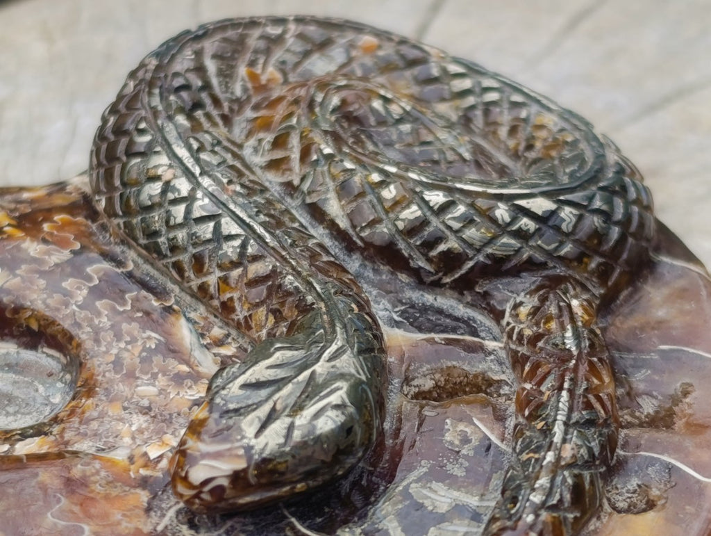 Hand Made Amber Cleoniceras Ammonite Fossil Serpent Carving with Golden Pyrite x 1 From Tulear, Madagascar