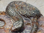 Hand Made Amber Cleoniceras Ammonite Fossil Serpent Carving with Golden Pyrite x 1 From Tulear, Madagascar