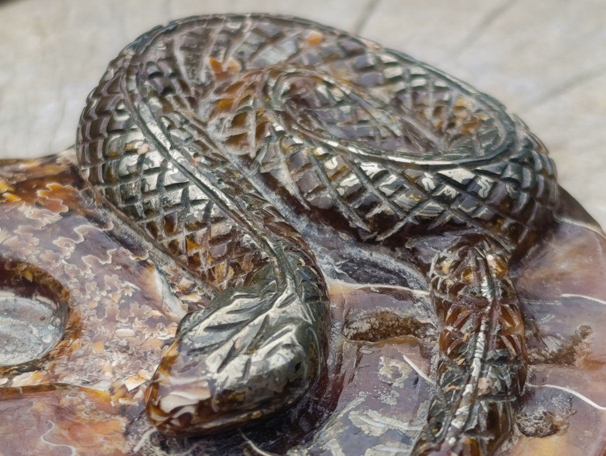 Hand Made Amber Cleoniceras Ammonite Fossil Serpent Carving with Golden Pyrite x 1 From Tulear, Madagascar