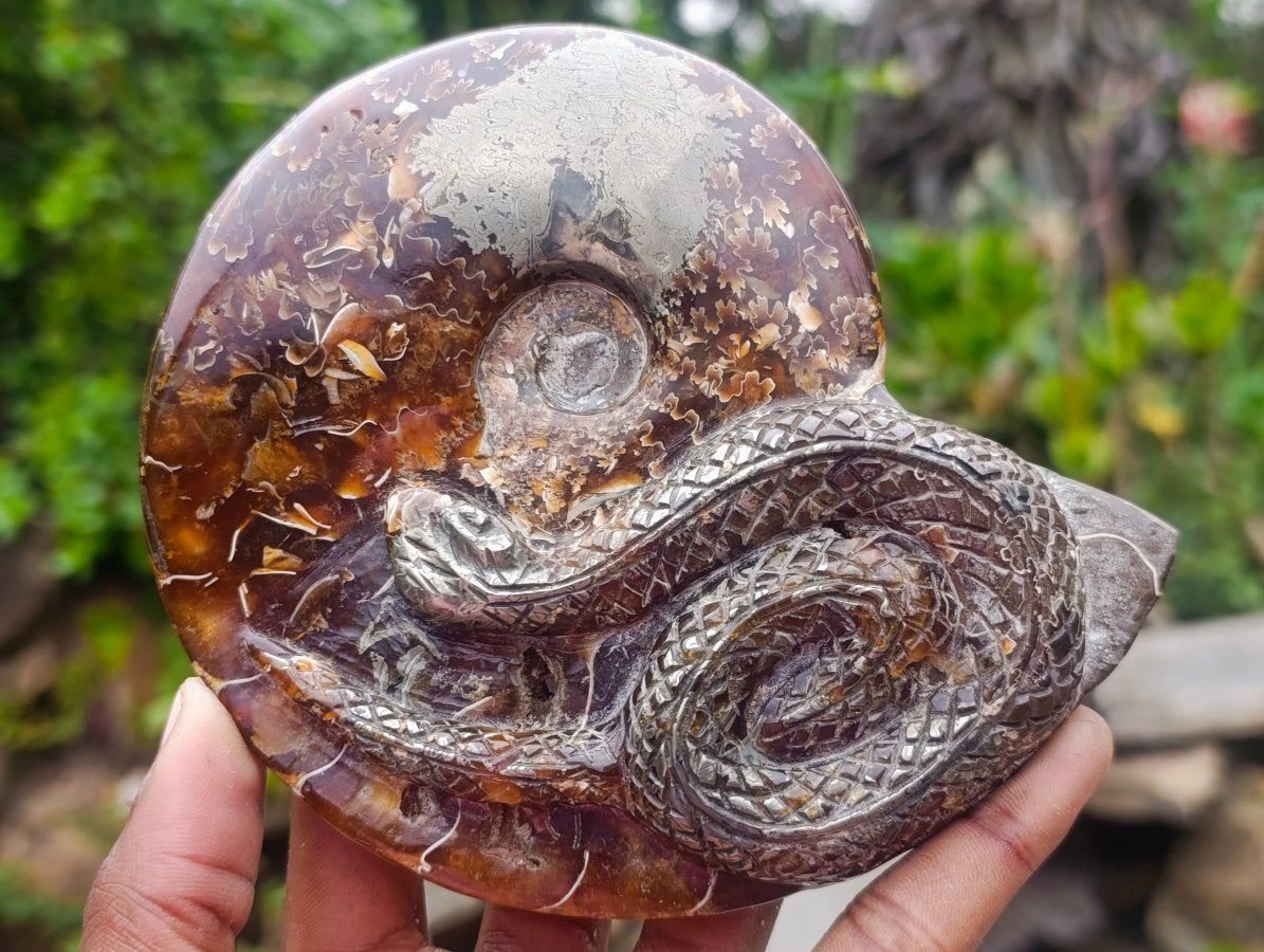 Hand Made Amber Cleoniceras Ammonite Fossil Serpent Carving with Golden Pyrite x 1 From Tulear, Madagascar