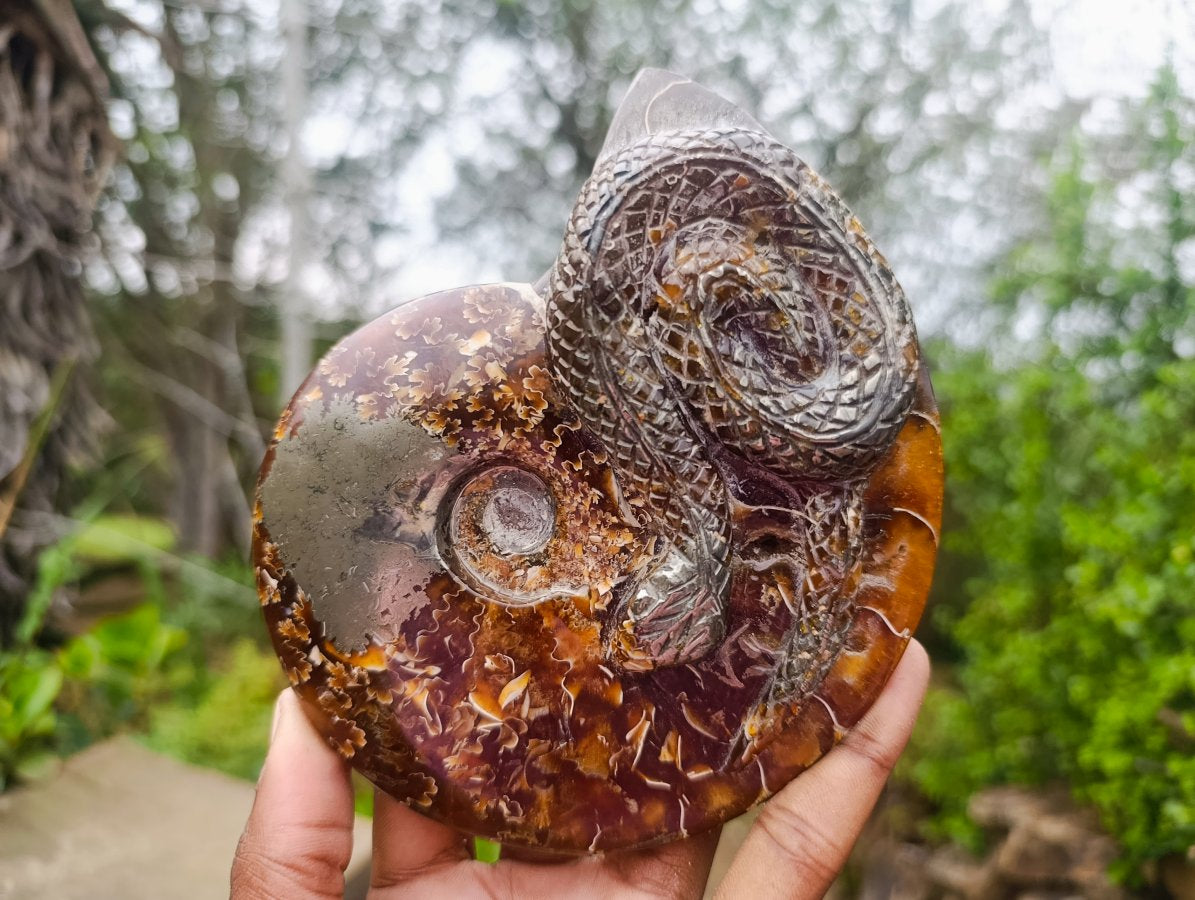 Hand Made Amber Cleoniceras Ammonite Fossil Serpent Carving with Golden Pyrite x 1 From Tulear, Madagascar