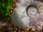 Hand Made Amber Cleoniceras Ammonite Fossil Serpent Carving with Golden Pyrite x 1 From Tulear, Madagascar