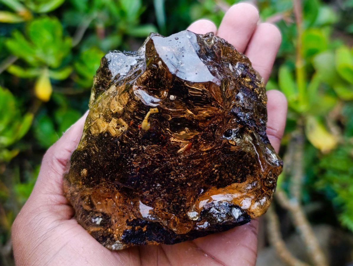 Polished XL Cabinet Size Copal Amber with Multiple Inclusions x 1 From Nosy Varika Madagascar