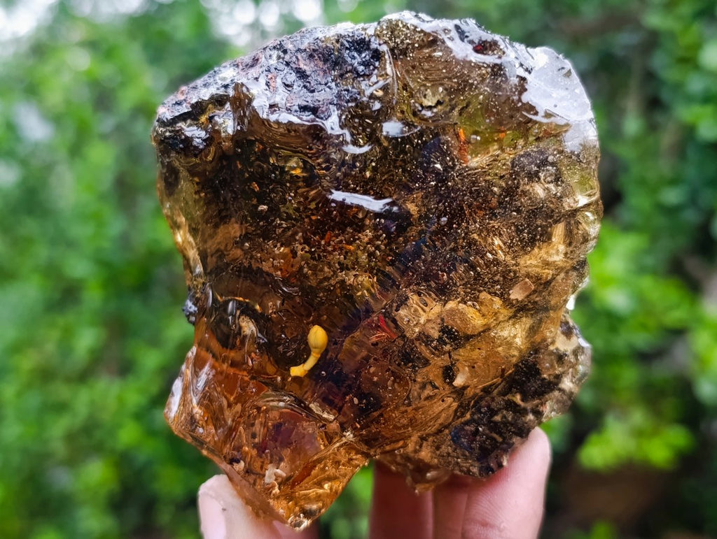 Polished XL Cabinet Size Copal Amber with Multiple Inclusions x 1 From Nosy Varika Madagascar