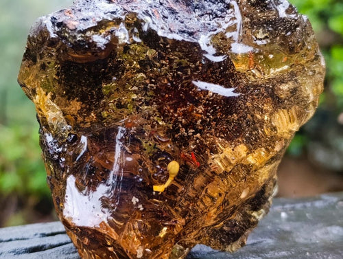 Polished XL Cabinet Size Copal Amber with Multiple Inclusions x 1 From Nosy Varika Madagascar